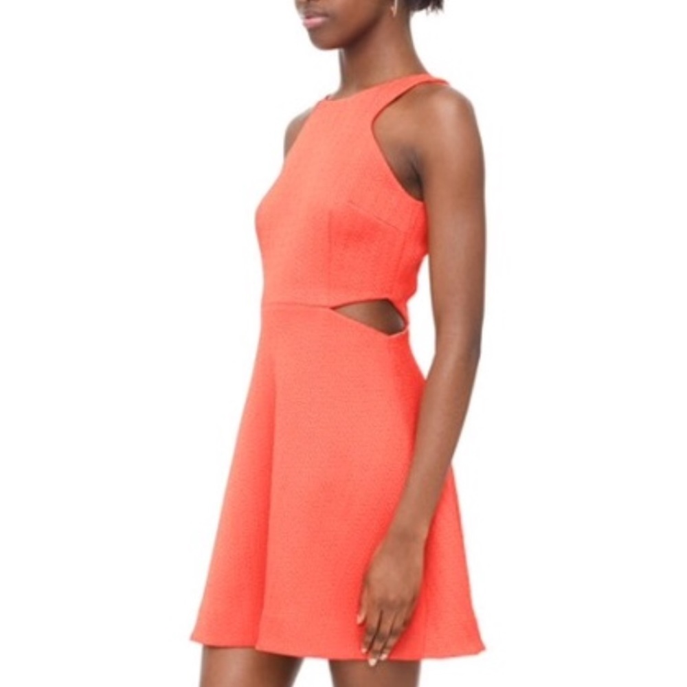 Club Monaco Tika cut out dress